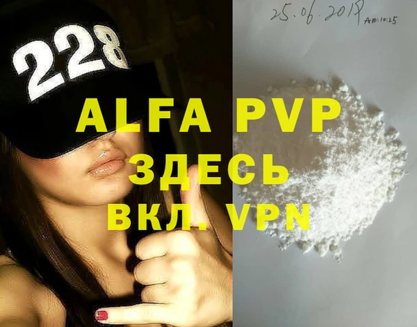 индика Щучье
