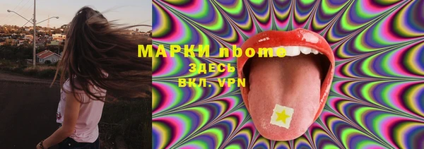 индика Щучье