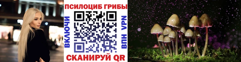 Купить  Можайск  Галлюциногенные грибы MAGIC MUSHROOMS 